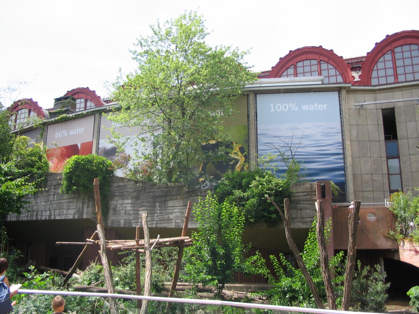Spandoeken
